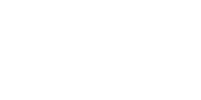 Stake.us brand mark